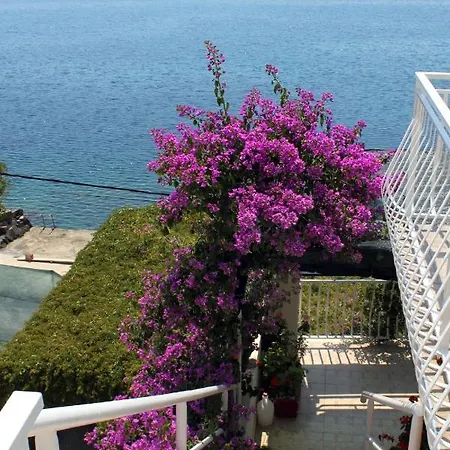 Apartamento By The Sea Molunat, Dubrovnik - 2137 *