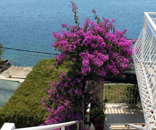 Apartament By The Sea Molunat, Dubrovnik - 2137 *